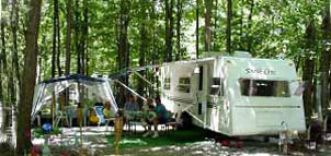 Camping site at Goose Bay Campground Photo