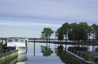 Madison Bay Campground, Marina &amp; Restaurant Photo