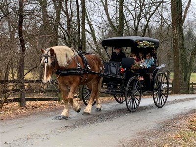 Fairwinds Farm and Stables-Carriage Ride Photo