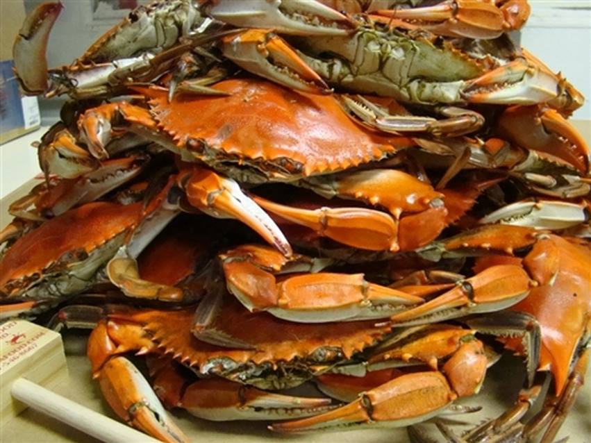 Crabs at Linton's Seafood Photo