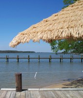 Palm Beach Willie's Restaurant, Bar & Grill Photo