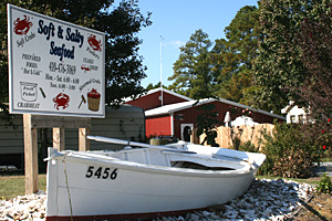 Soft &amp; Salty Seafood Photo