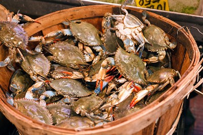 Bushel of crabs at Stoney's Seafood House-Prince Frederick Photo
