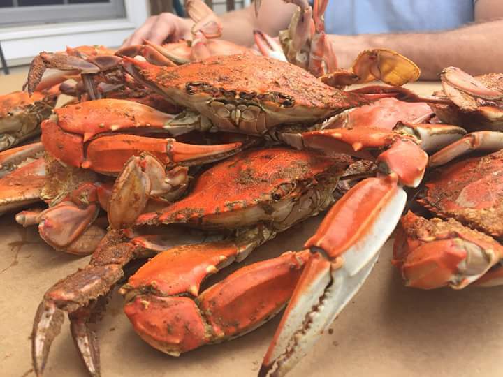 The Masthead at Pier Street Photo