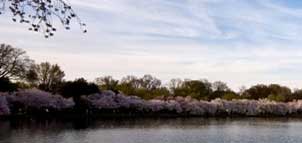 TPC Potomac at Avenel Farm Photo