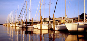 Boats docked Photo