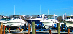 Boats at Blackstone Marina Photo