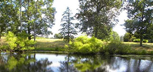 Pond at Breton Bay Golf Club Photo