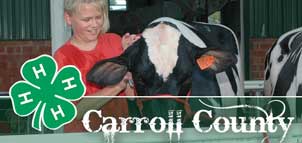 4-H &amp; FFA Fair Photo