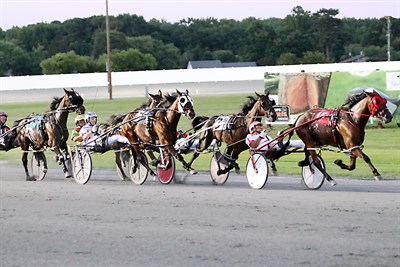 Ocean Downs-Horses Photo