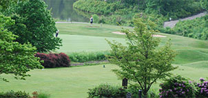 Chesapeake Bay Golf Club Photo