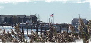 Flag at Deal Island Photo