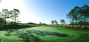 Eagle's Landing Golf Course Photo