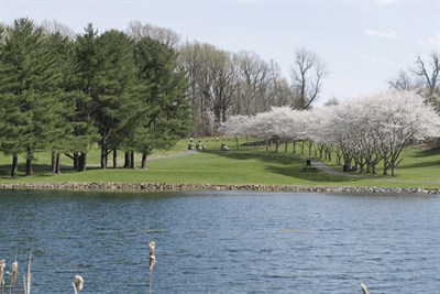 Enterprise Golf Course Photo