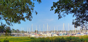 Harbour North Marina Photo