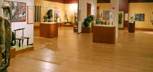 Museum interior Photo