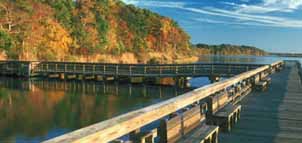 Kings Landing Park Photo