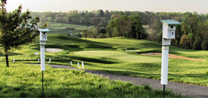 Little Bennett Golf Course Photo