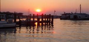 Long Point Marina Photo