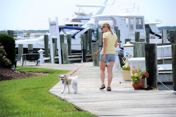 woman walking dog at Mears Point Marina Photo