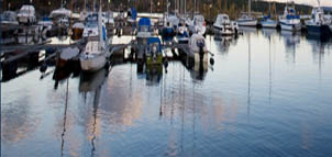 Point Lookout Marina Photo