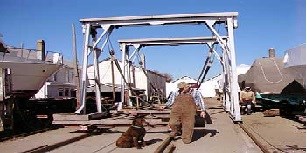 Marina worker and dog Photo