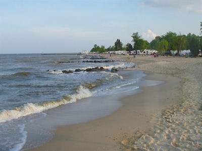Scenic Byways-Roots and Tides Photo