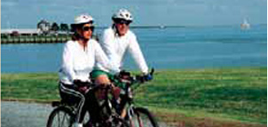 Bicyclists Photo