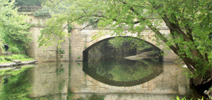 The Bridges of Washington County Photo