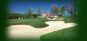 The Timbers at Troy Photo