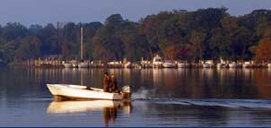 Town of North East Photo