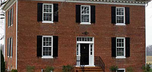 Picture of Running Fox Photo