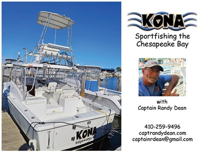 KONA - Sportfishing the Chesapeake Bay Photo