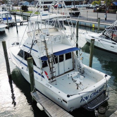 Picture of the &quot;Fin Chaser&quot; Photo