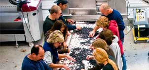 Workers at Winery Photo
