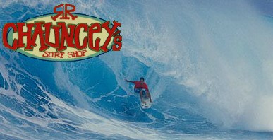 Surfer catches a perfect wave Photo