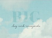 Big Cork Vineyards logo Photo