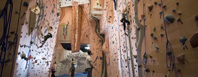 Climbers climbing interior Earth Treks' walls Photo
