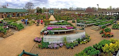 Outdoor shopping area of Homestead Gardens. Photo