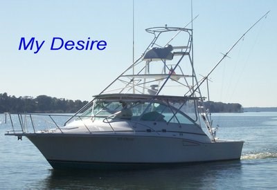 &quot;My Desire&quot; runs charters on this Cabo Express Photo