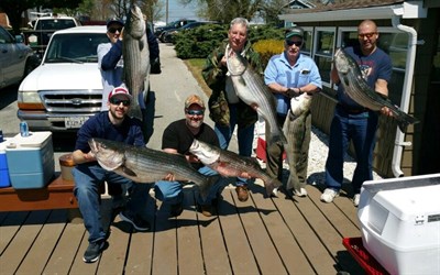 great bass catch Photo