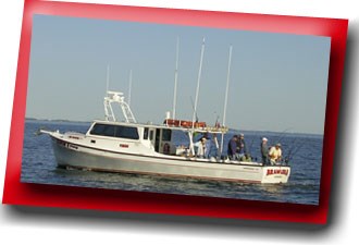 The Brawler II charters fishing trips in the mid-Bay area. Photo