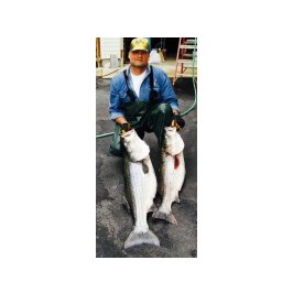 Brian Matthews, Fishing & Hunting Guide. Photo