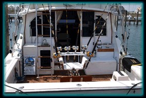 "Daydreamer" sits ready for a fishing trip Photo