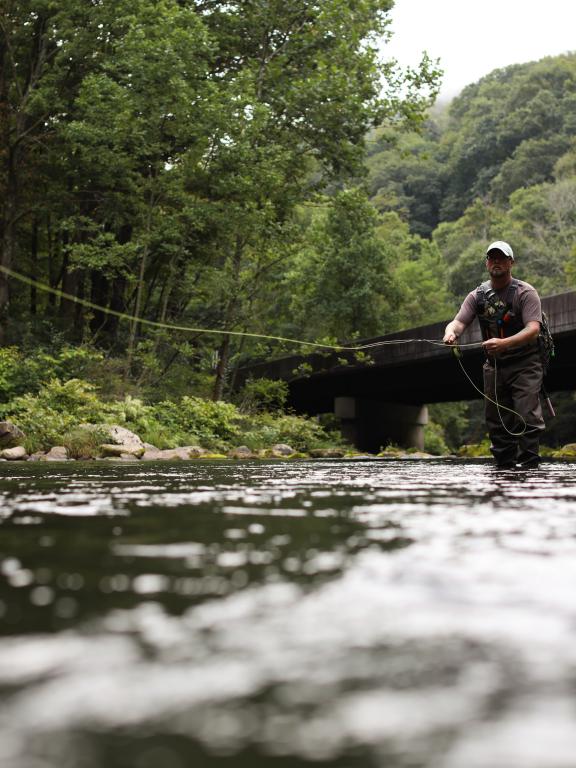 Man Fly Fishing in Maryland River