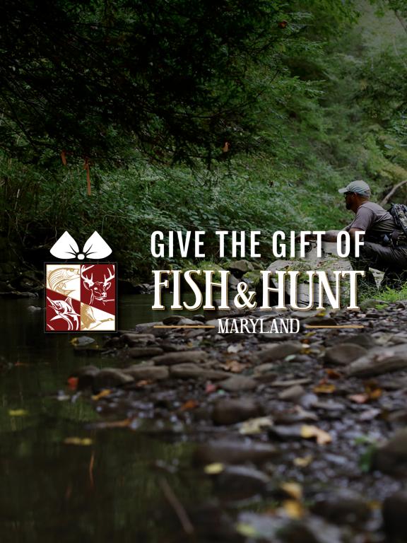 Give the gift