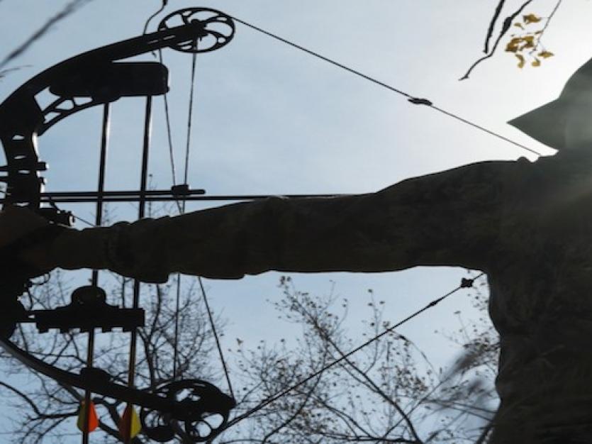 bow hunting