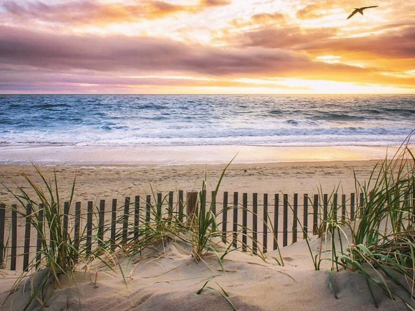 Ocean City Beach and Dunes