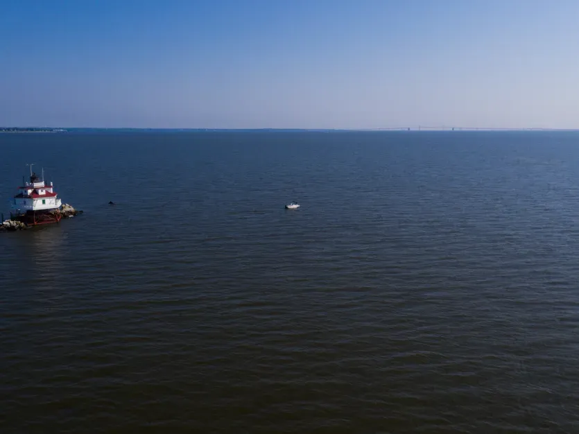 Fishing 101: What Fish Are Biting In Maryland?