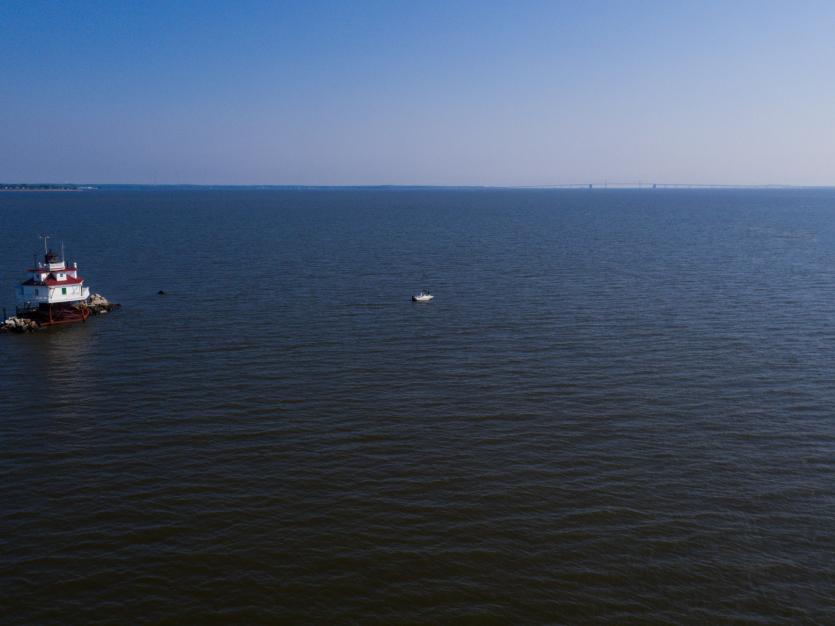 Fishing 101: What Fish Are Biting In Maryland?